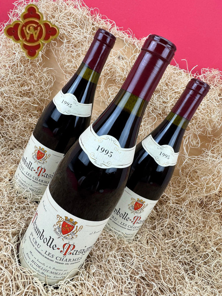 1995 Alain Hudelot-Noellat Les Charmes Chambolle-Musigny Burgundy - 750ml Wine