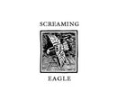 1995 Screaming Eagle Cabernet Double Magnum - 3000ml